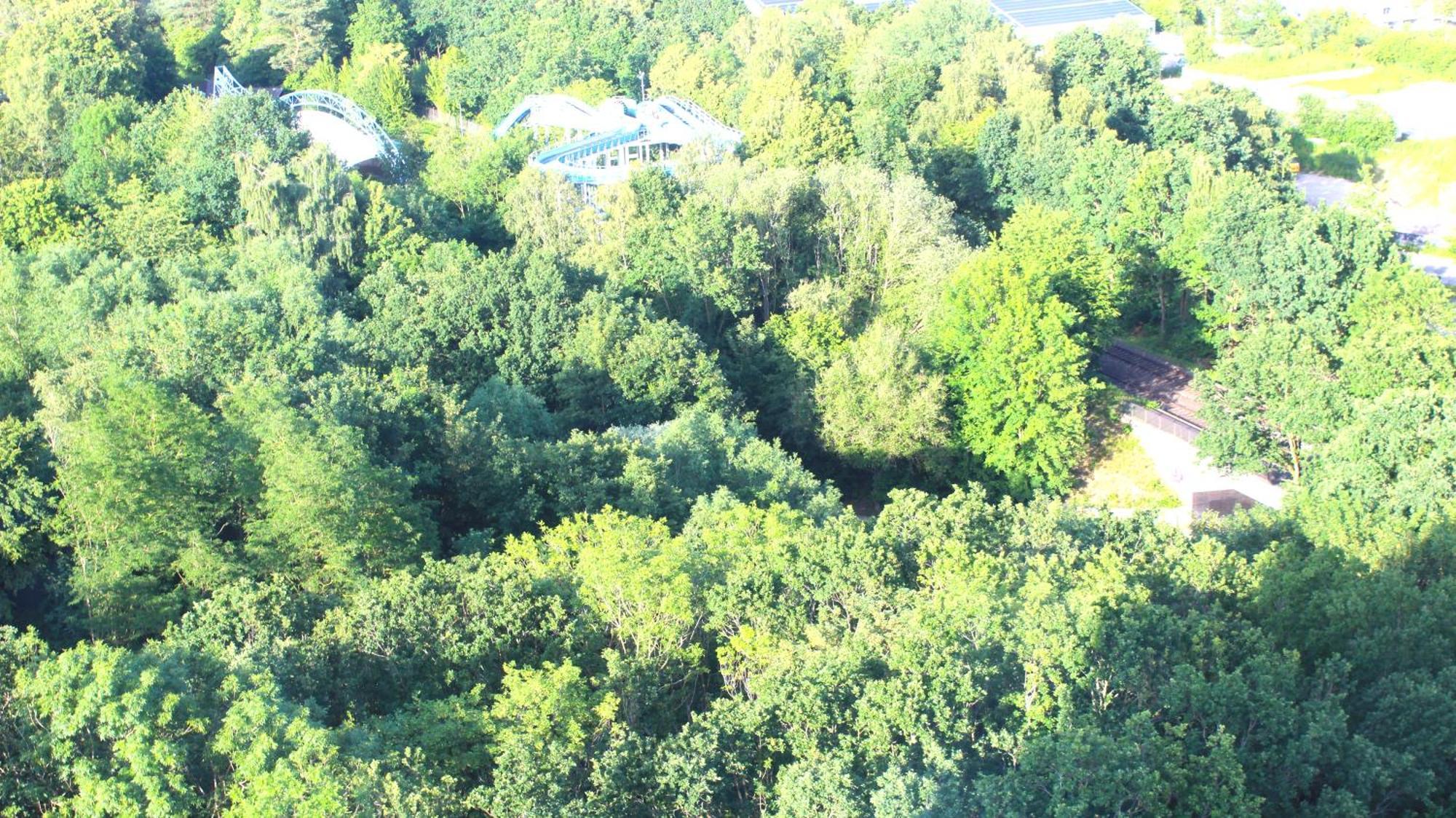 Ferienwohnung ZUM WOHLFÜHLEN FÜR 4 ERWACHSENE +1 Kind, Schwimmbad vor der Tür Tiere erlaubt Sierksdorf Exterior foto